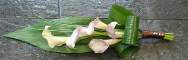 Pink Blush Cala Lily Overarm